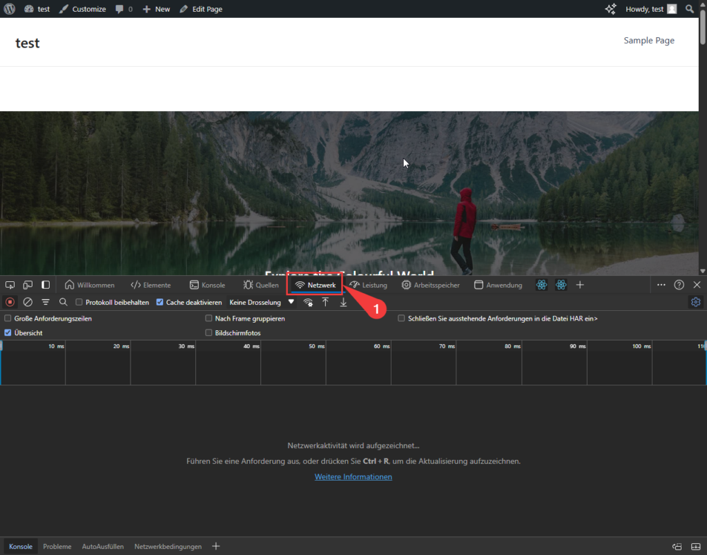 Entwickler-Tools im Browser